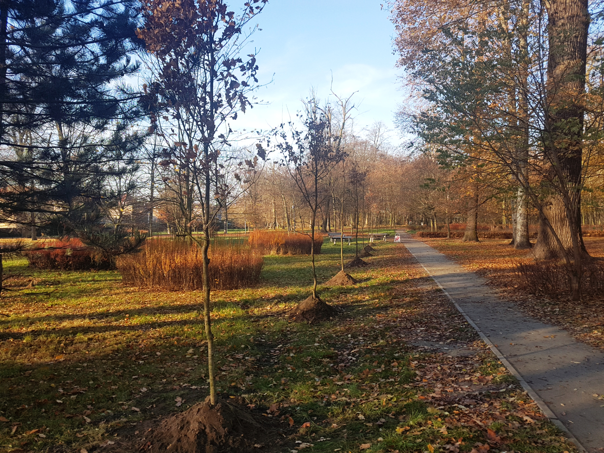 park park